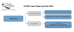 image of COVID decision tree flow chart